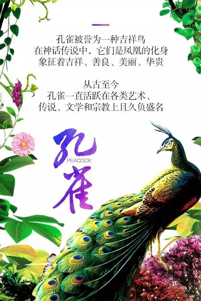【915-918邵陽(yáng)秋季車展】鳳臨枝頭，雀雀雀雀雀實(shí)驚艷！