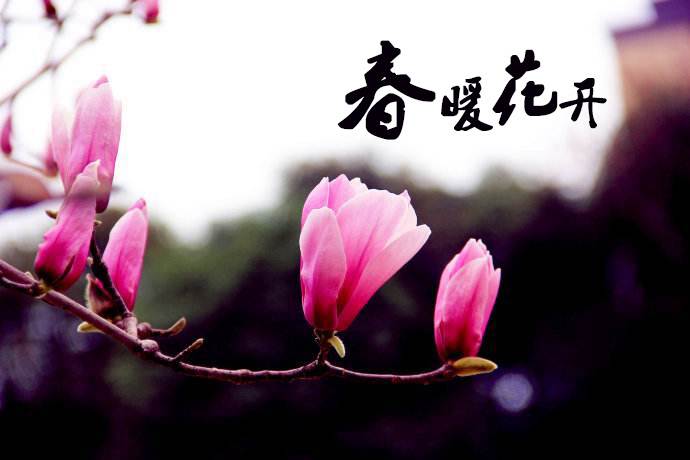 春暖花開 教你春季如何做汽車保養(yǎng)！
