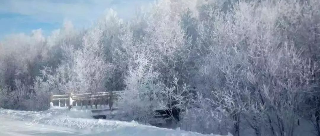 奕行記|奕路向北，駛向雪國阿爾山
